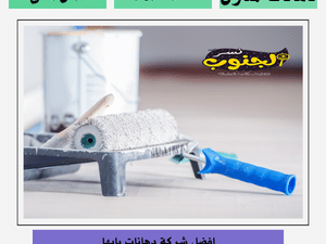 شركة دهانات بابها