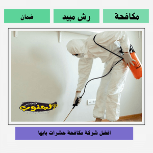شركة مكافحة حشرات بابها 