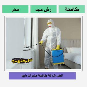 شركة مكافحة حشرات بابها 