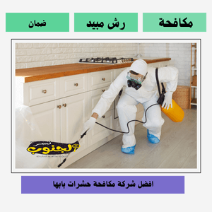 شركة مكافحة حشرات بابها 