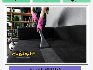 شركة تنظيف كنب بابها
