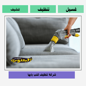 شركة تنظيف كنب بابها