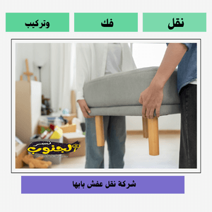 شركة نقل عفش بابها