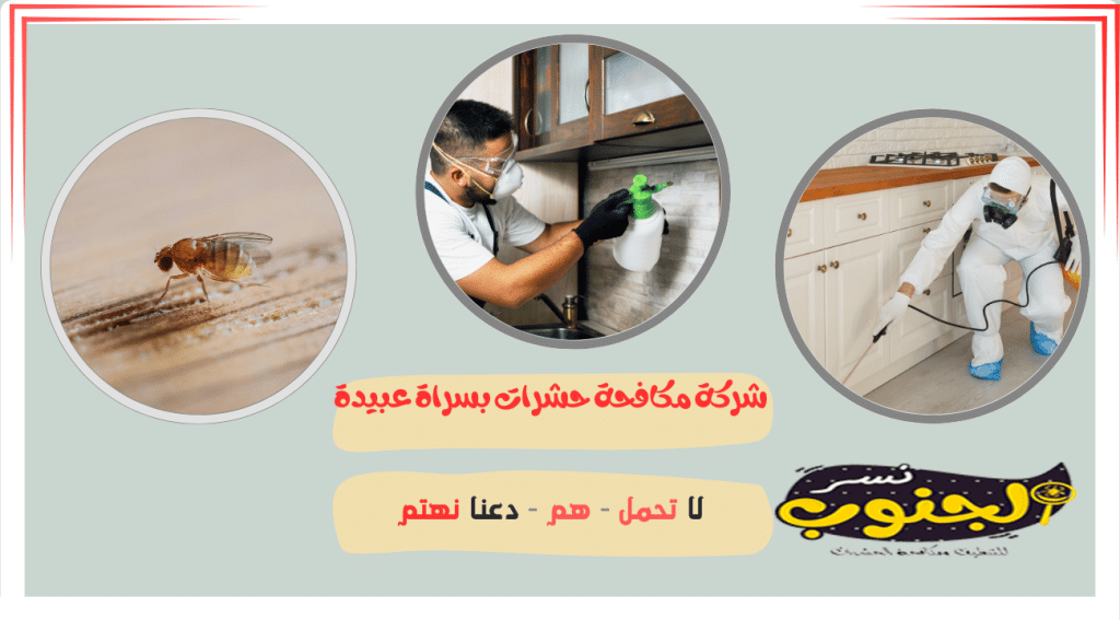 شركة مكافحة حشرات بسراة عبيدة