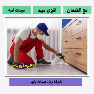 شركة رش مبيدات بابها