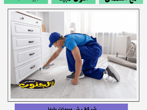 شركة رش مبيدات بابها