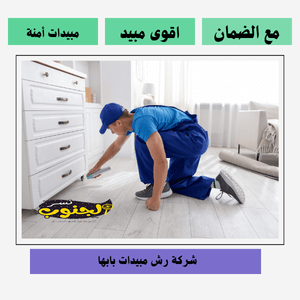 شركة رش مبيدات بابها