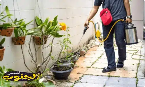 شركة مكافحة حشرات بابها