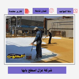شركة عزل اسطح بابها 
