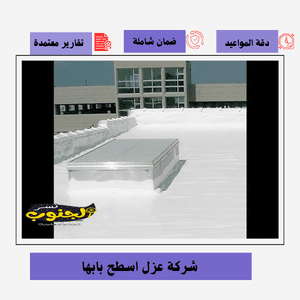 شركة عزل اسطح بابها 