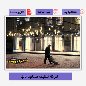 شركة تنظيف مساجد بابها 