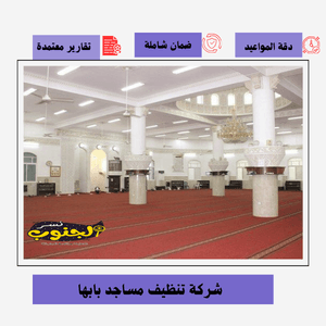 شركة تنظيف مساجد بابها 