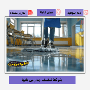 شركة تنظيف مدارس بابها 