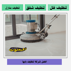 شركة تنظيف بابها 