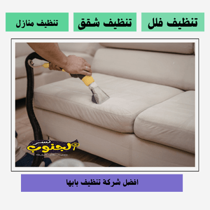 شركة تنظيف بابها 