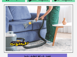 شركة تنظيف بابها