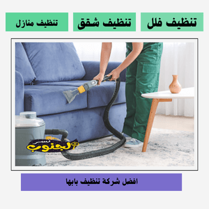 شركة تنظيف بابها 
