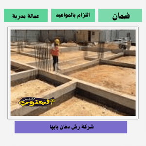 افضل شركة رش دفان بابها 